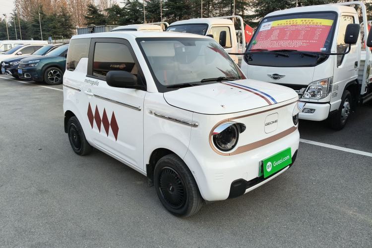 Used  Panda 2024 Panda Mini 200km Endurance Bear