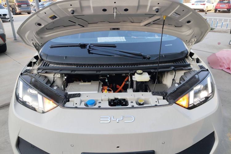 Used BYD Seagull 2025 Smart Drive Version 305 km Freedom Edition