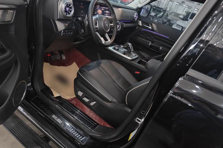 Used Tank 300 2024 2.0T Crosser
