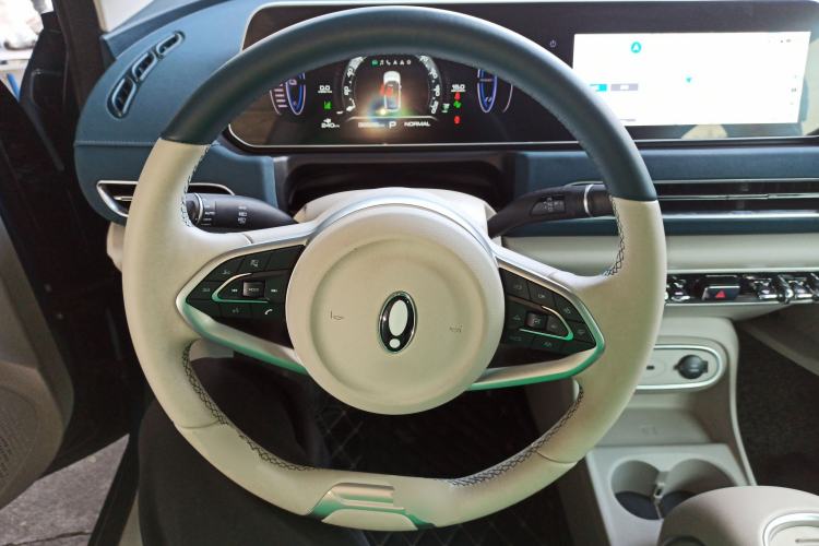 Used ORA Good Cat 2023 401 km Standard Range Luxury Version Lithium Iron Phosphate
