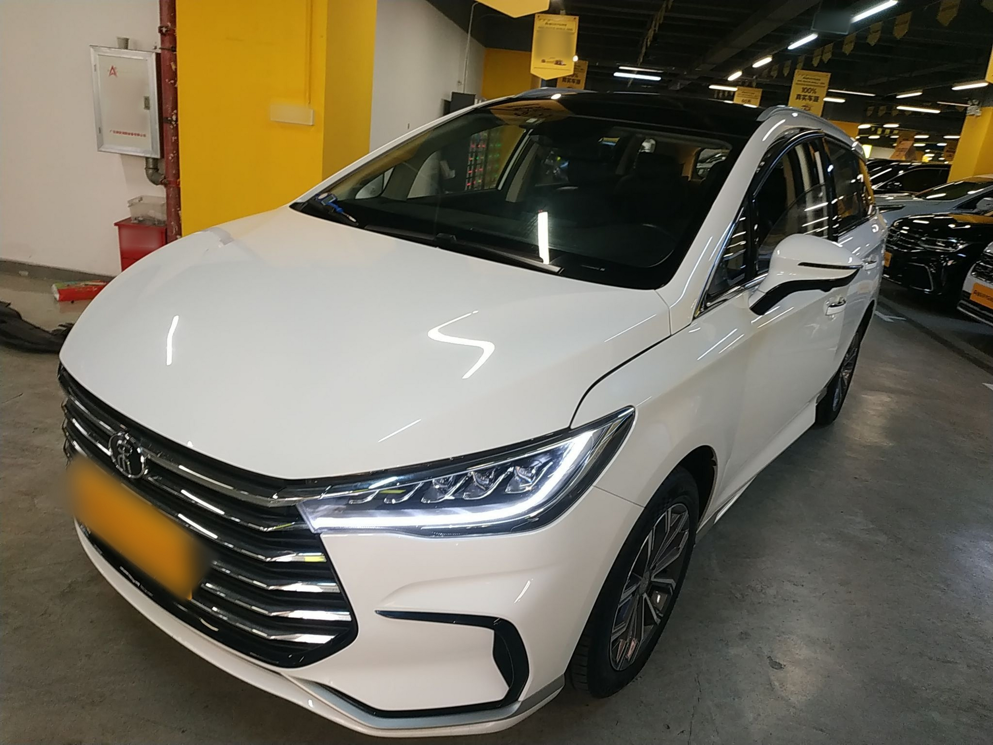 تحت مقدمة السيارة