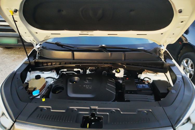 Used Changan CS55 2017 1.5T Automatic Colorful Edition
