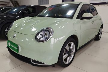 Used ORA Good Cat 2022 400km Standard Range Premium Version Lithium-Ion Battery