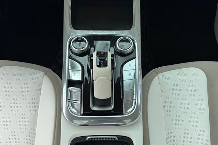 Used  Tank 300 2021 2.0T Cyber Tank
