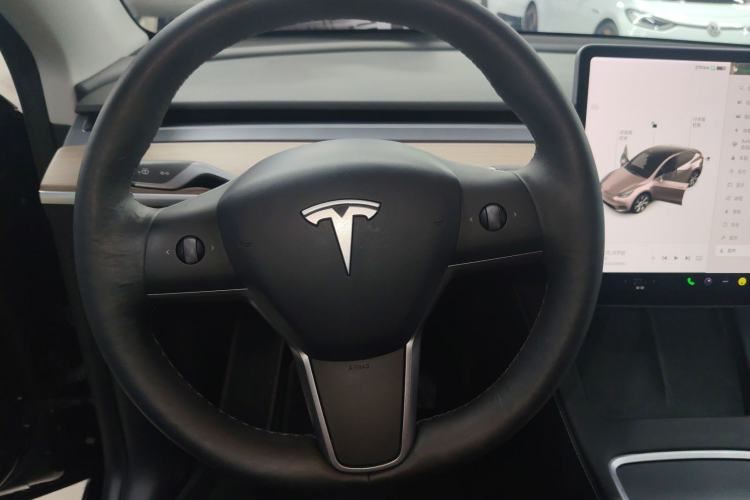 Used Tesla Model Y 2021 Standard Range Rear-Wheel Drive Version