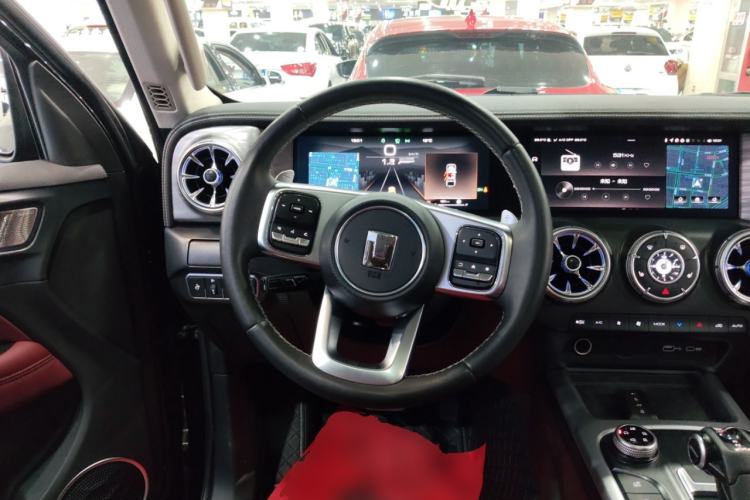 Used Tank 300 2024 2.0T Conqueror