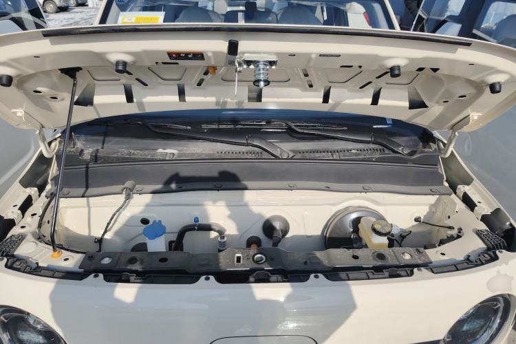 Used  Panda 2025 210 km – Yuanqi Bear
