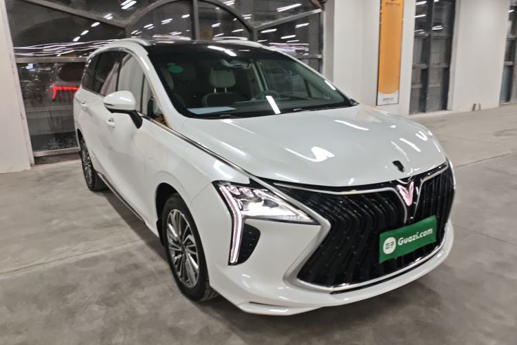 Used FORTHING Yacht 2024 1.5T DCT Guanhai Edition
