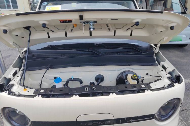 Used  Panda 2025 210 km – Yuanqi Bear
