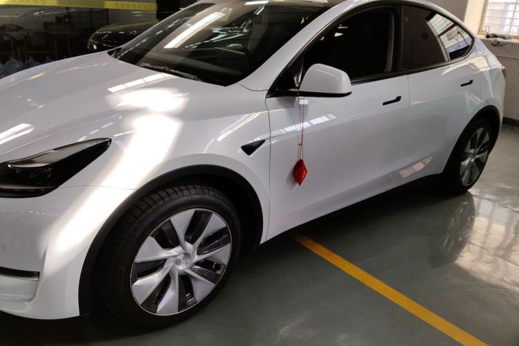 Used Tesla Model Y 2021 Standard Range Rear-Wheel Drive Version
