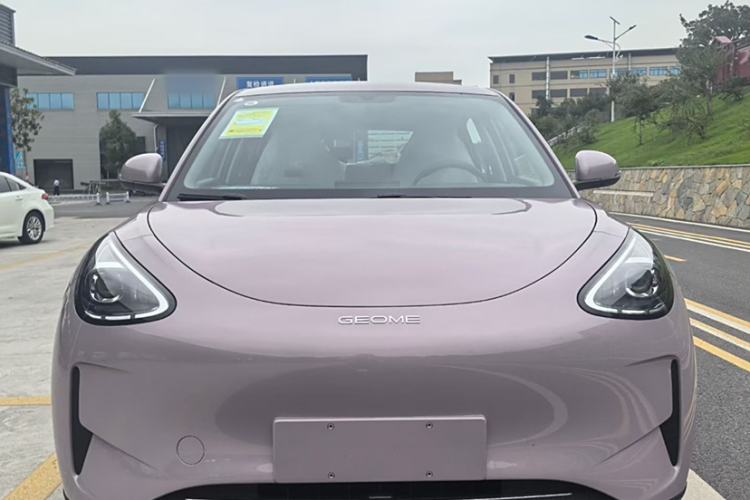 Used  Geome 2025 310km Youth Edition
