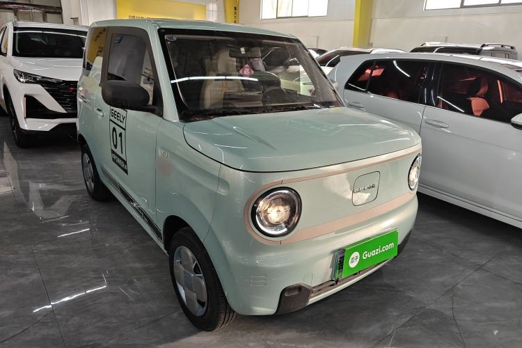 Used  Panda 2024 Panda Mini 200km Endurance Bear
