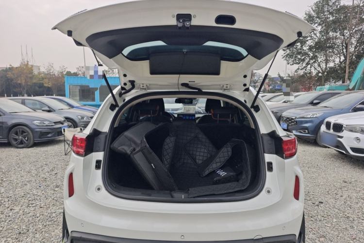 Used Haval LHERY 2021 High-Performance Version 1.5T Golden Rabbit