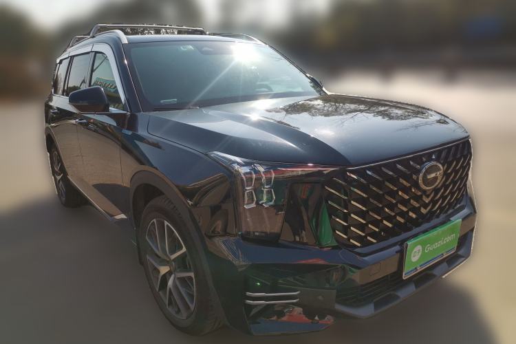 Used GAC Trumpchi GS8 2024 Linghang Series 2.0 TGDI Two-Wheel Drive Luxury Smart Connectivity Version