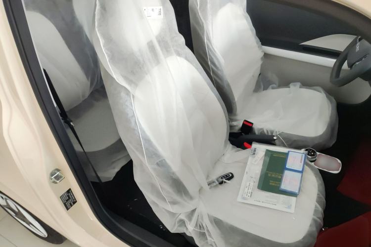 Used  Panda 2025 210 km – Yuanqi Bear
