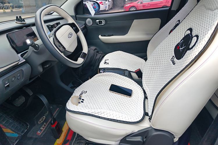 Used Chery Little Ant 2024 Facelifted 321km Beloved Edition