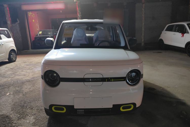 Used  Panda 2025 210 km – Yuanqi Bear
