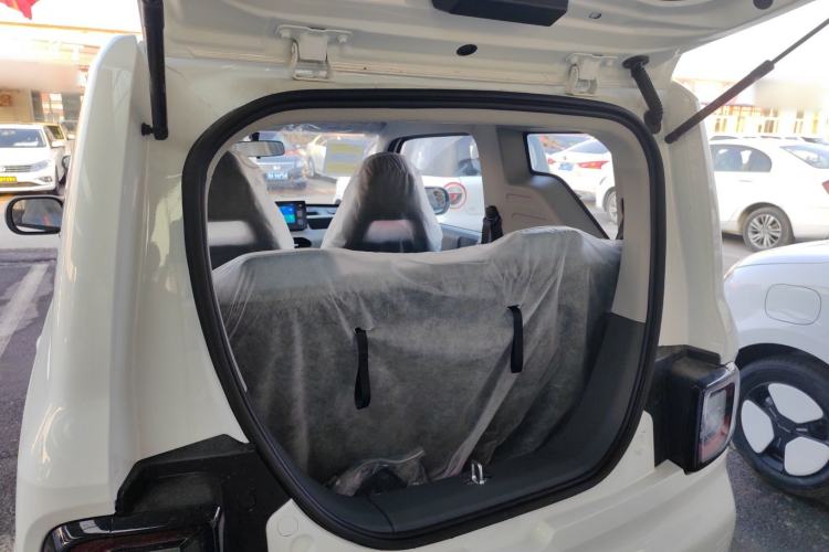 Used  Panda 2024 Panda Mini 200km Endurance Bear
