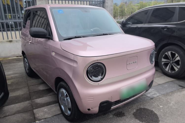 Used  Panda 2023 Panda Mini 200km Endurance Bear