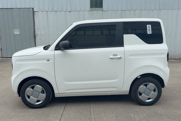 Used  Panda 2024 Panda Mini 200km Endurance Bear
