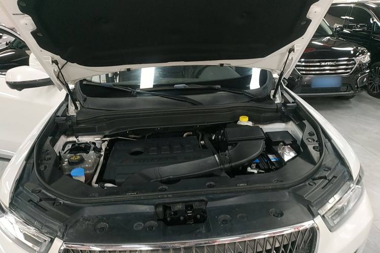 Used Haval H6 2021 1.5T Automatic Champion Edition
