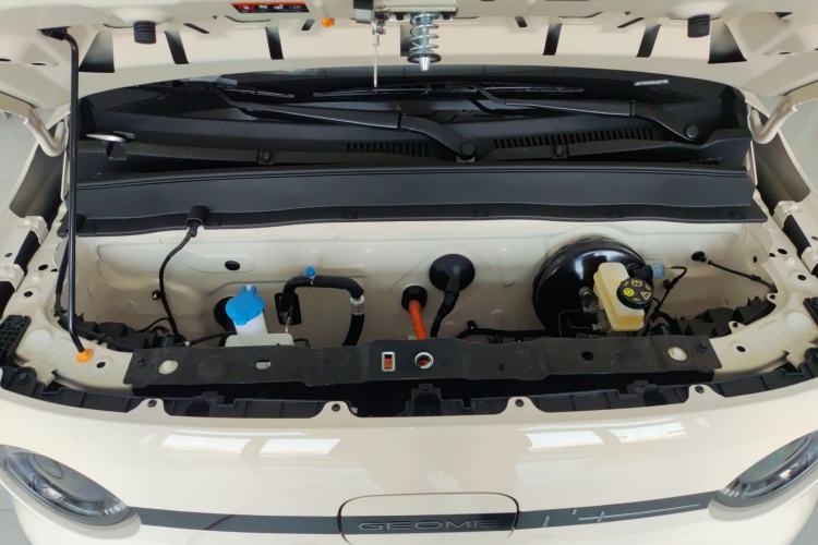 Used  Panda 2025 210 km – Yuanqi Bear
