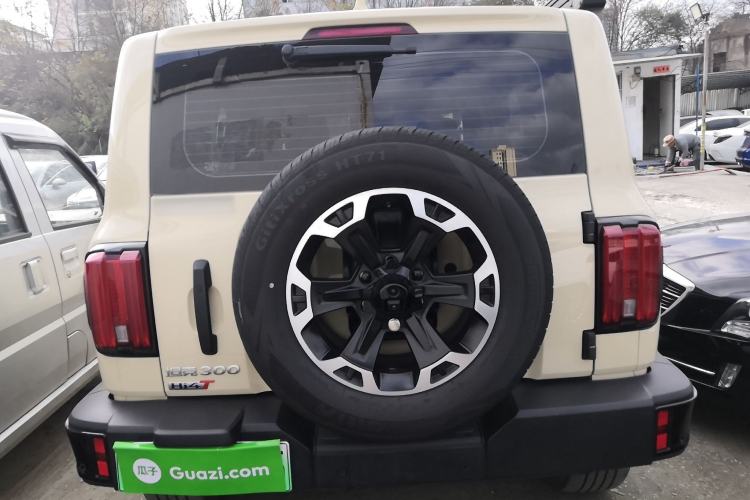 Used Tank 300 New Energy 2025 Hi4-T
