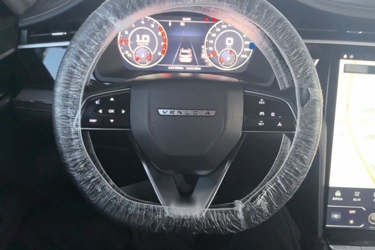 Used Venucia Star 2020 260T Automatic 48V Mild Hybrid Turbocharged Star Edition
