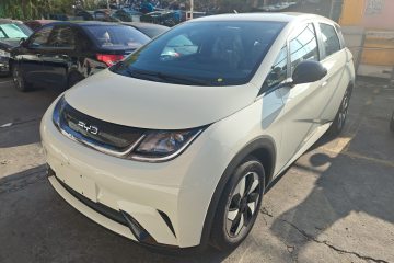Used BYD Dolphin 2025 420km Free Edition