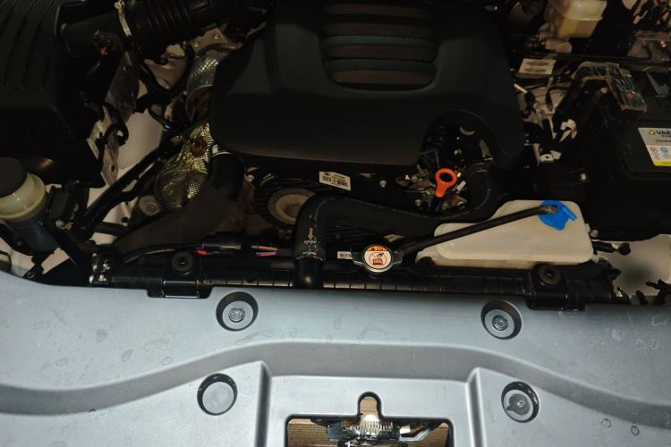 Used Great Wall Poer 2021 2.0T Commercial Version Manual Diesel 4x4 Elite Long-Box GW4D20M