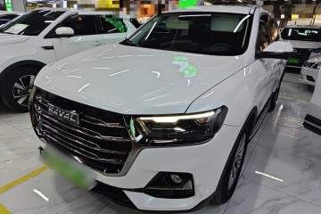 Used Haval H6 2021 National Trend Edition 1.5T Automatic Champion Version