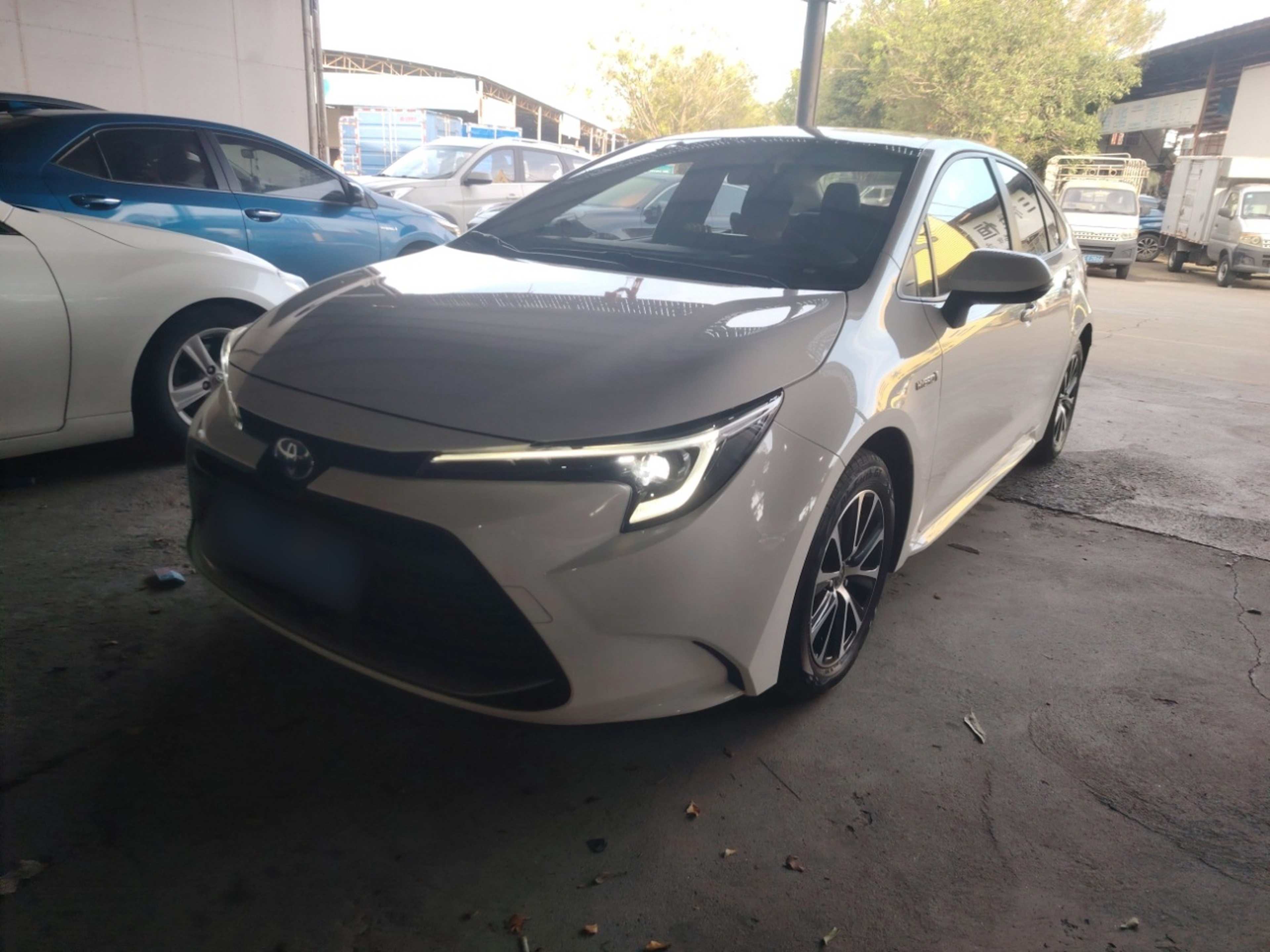 تحت مقدمة السيارة