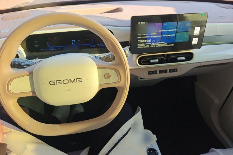 Used  Panda 2025 210 km – Yuanqi Bear
