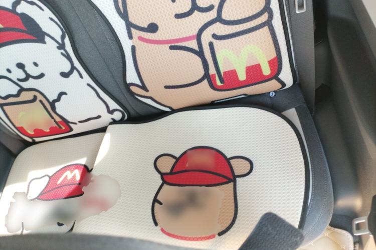 Used  Panda 2025 210 km – Yuanqi Bear
