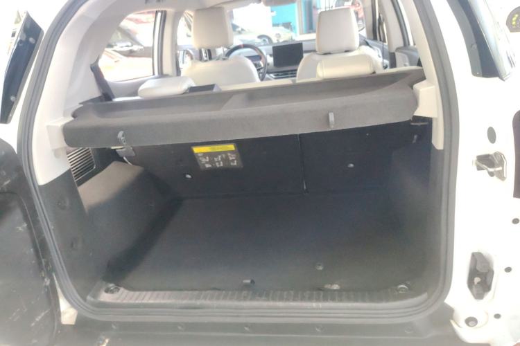 Used BYD Yuan Pro 2021 "Love for a Lifetime" Edition
