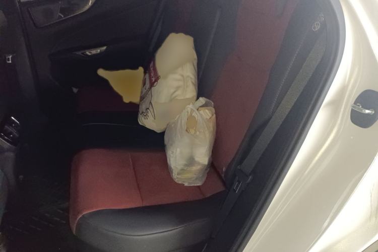 Used Lexus NX 2023 350h Front-Wheel-Drive Xinchichi Version