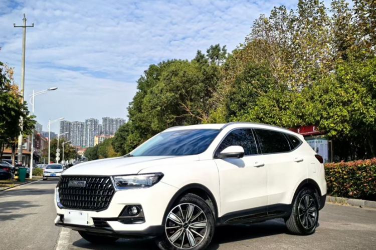 Used Haval H6 2023 National Trend Edition 1.5T Automatic Champion Version
