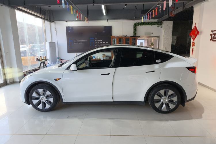 Used Tesla Model Y 2021 Standard Range Rear-Wheel Drive Version
