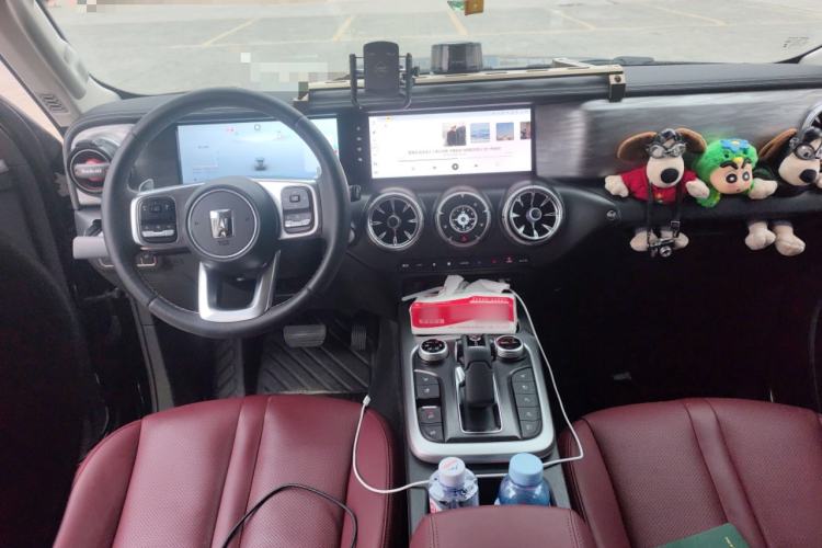 Used Tank 300 2024 2.0T Crosser