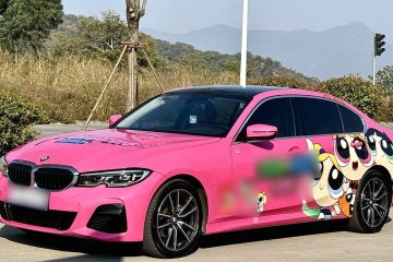 Used BMW 3 Series 2020 320Li M Sport Package