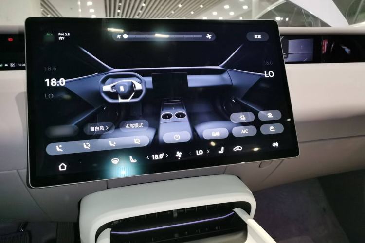 Used  06 2025 Pro Range-Extended Edition
