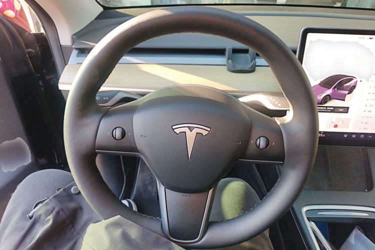 Used Tesla Model Y 2022 Revised Version Long-Range All-Wheel Drive
