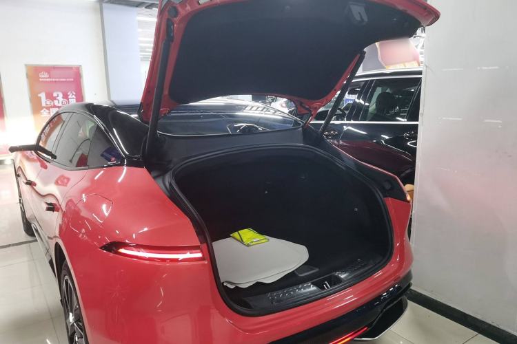 Used  06 2025 Ultra Pure Electric Edition
