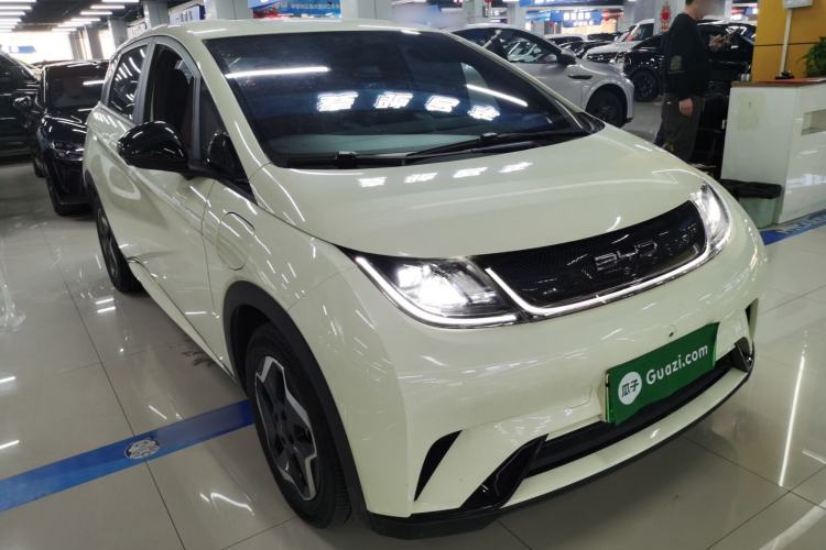 Used BYD Dolphin 2021 405 km Free Version
