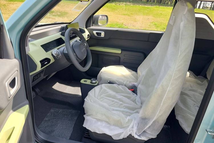 Used  Panda 2024 Panda Mini 200km Endurance Bear
