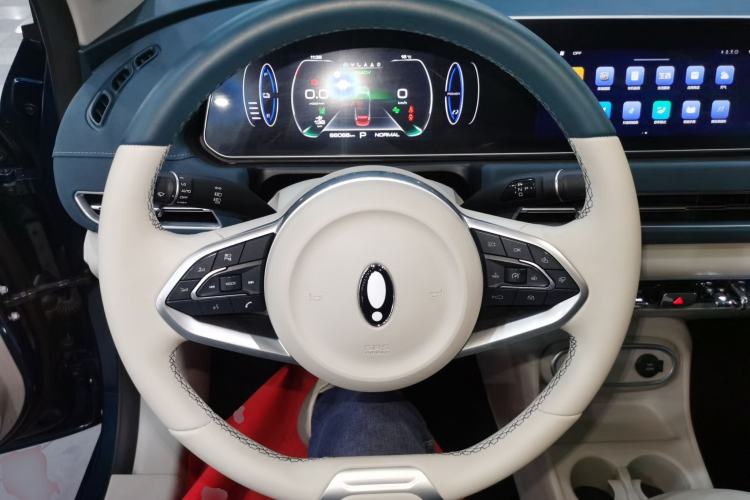 Used ORA Good Cat 2023 401 km Standard Range Luxury Version Lithium Iron Phosphate
