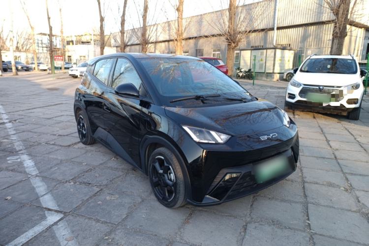 Used BYD Seagull 2023 Flying Edition