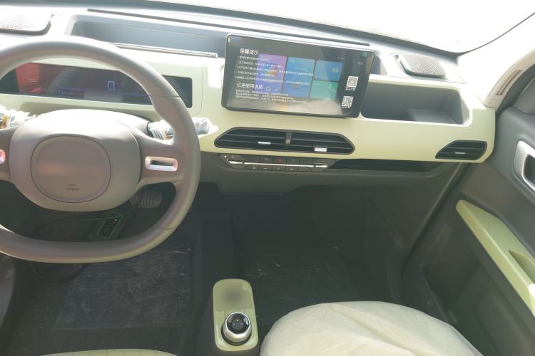 Used  Panda 2024 Panda Mini 200km Endurance Bear
