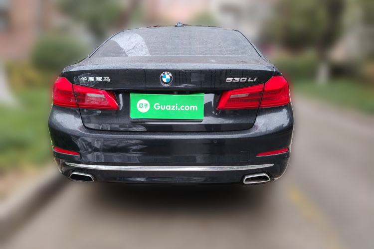 Used BMW 5 Series 2020 530Li Leading Edition Luxury Package