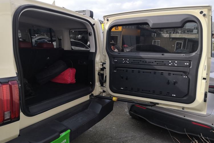 Used Tank 300 New Energy 2025 Hi4-T
